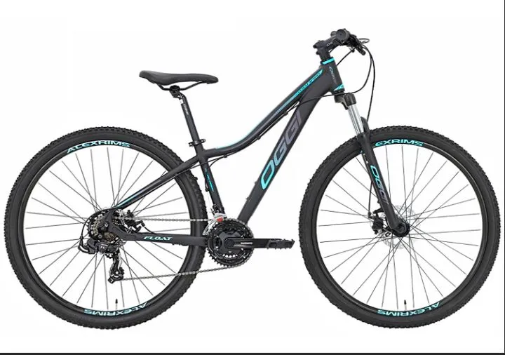 Bicicleta Oggi