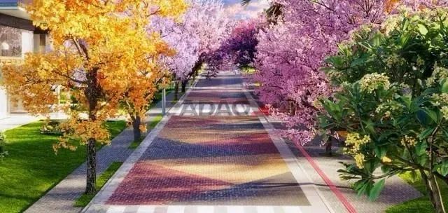 Terreno Vinhas Flamboyant - Foto 3