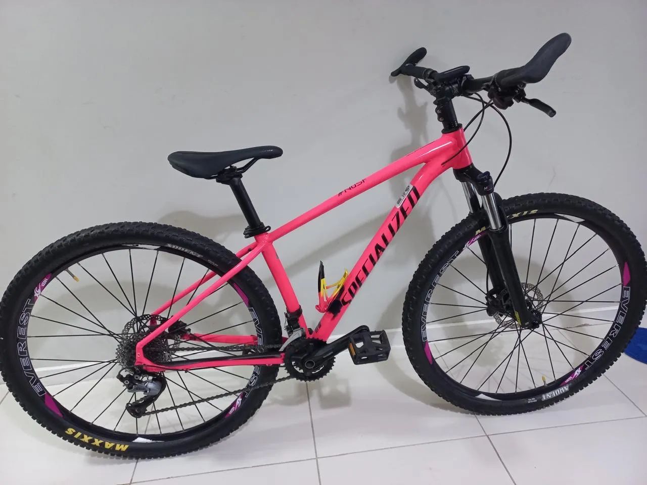 Bicicleta