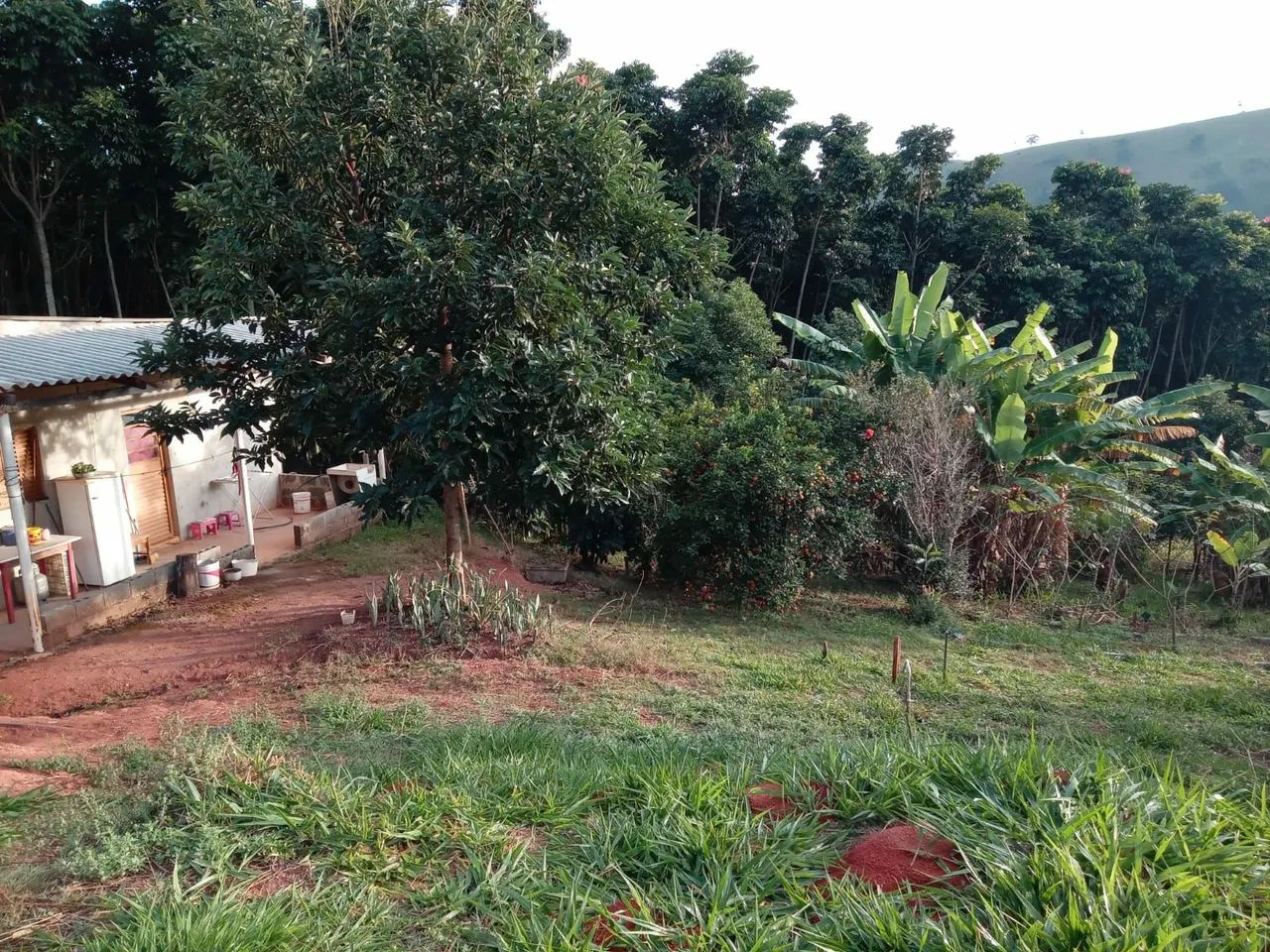 Vendo Sítio no Sul de Minas  - Foto 3