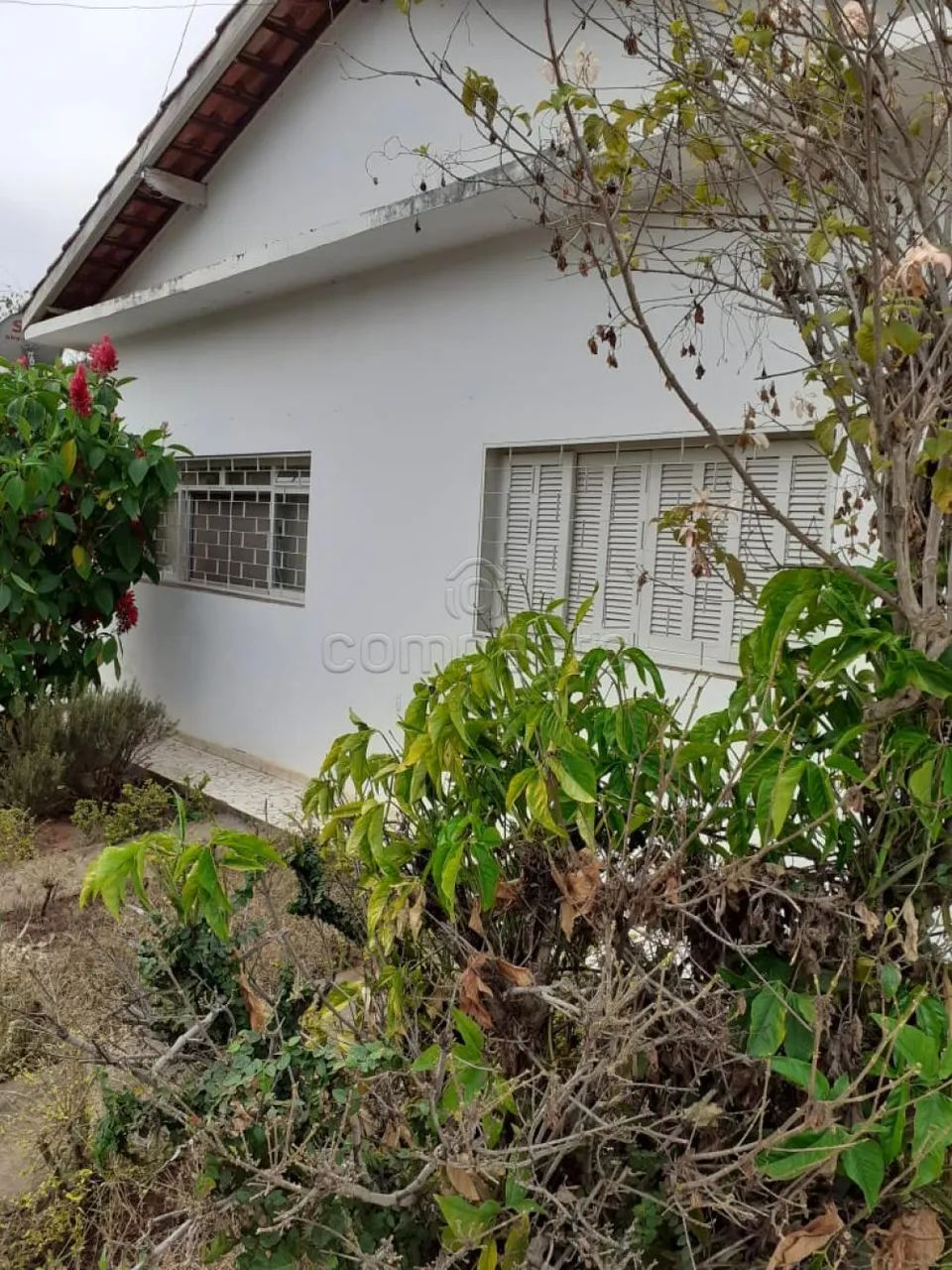 Casa Padrão em Nova Aliança - Foto 2
