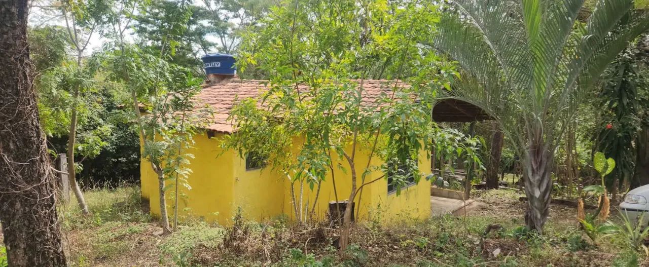 _ Chácara a venda em peixe verde  - Foto 3