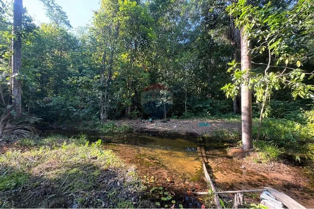Chácara à venda 18km de Araguaína - TO - Foto 2