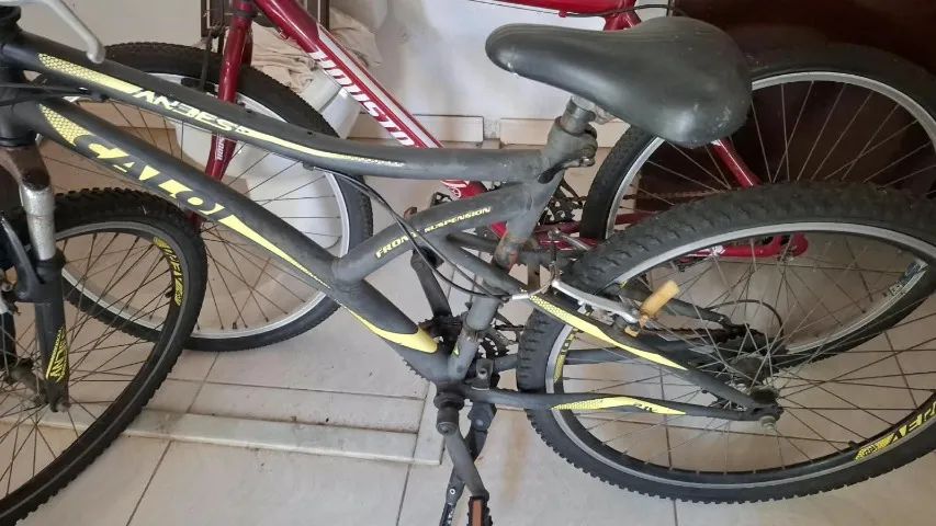 bicicleta