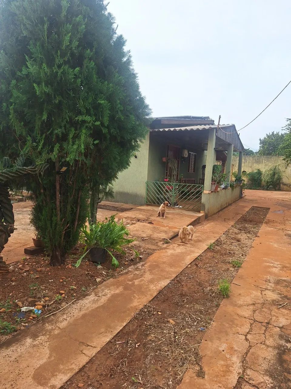 Casa com dois terrenos - Foto 2