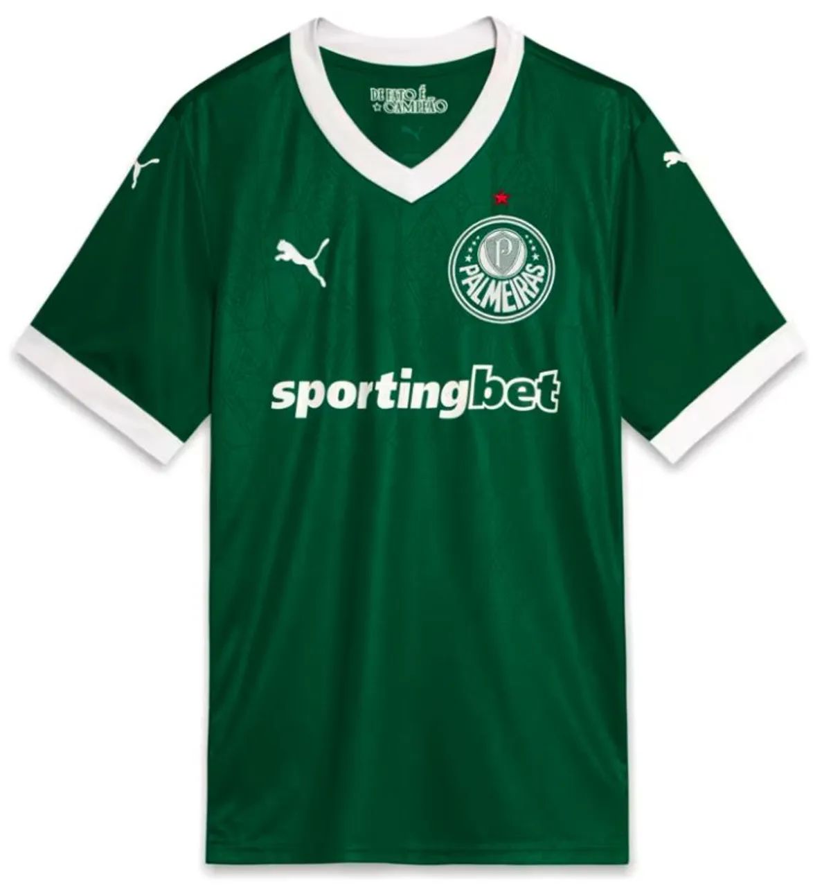 Camisa Palmeiras 2025
