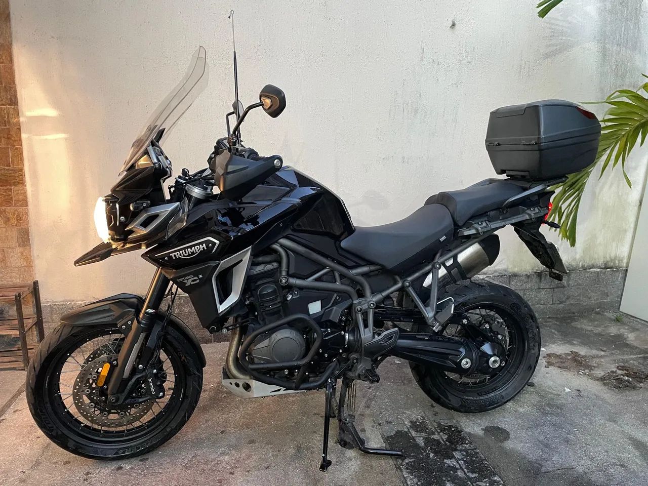 ルーフドゥイッセイ Sandália Tip Toey Joey Explorer Tapioca/ Blue Tang