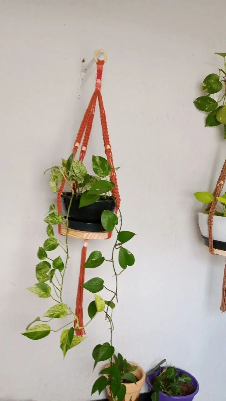 Suporte de plantas macramé