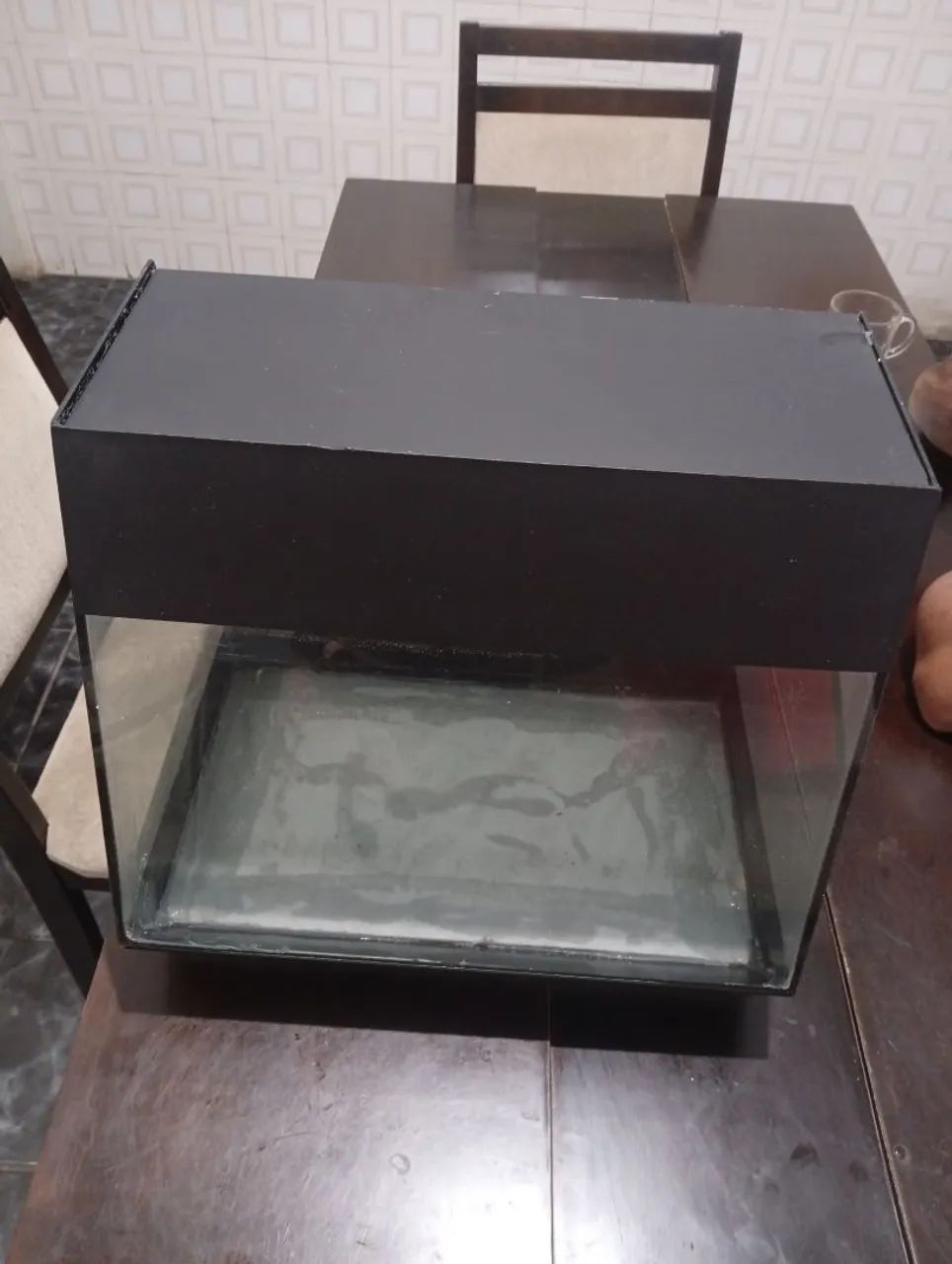 aquário   com    22 litros  - Foto 4