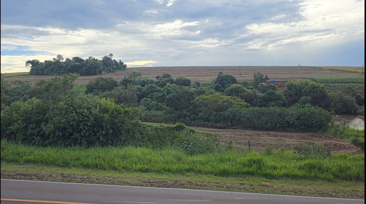 Vendo Sítio de 236.870 M² em Vera Cruz do Oeste-PR. - Foto 4