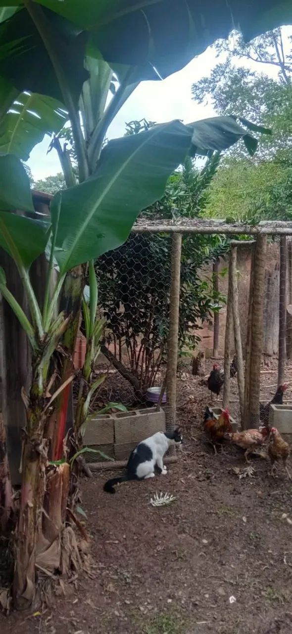Foto - Campinas - Loteamento Chácaras Vale das Garças