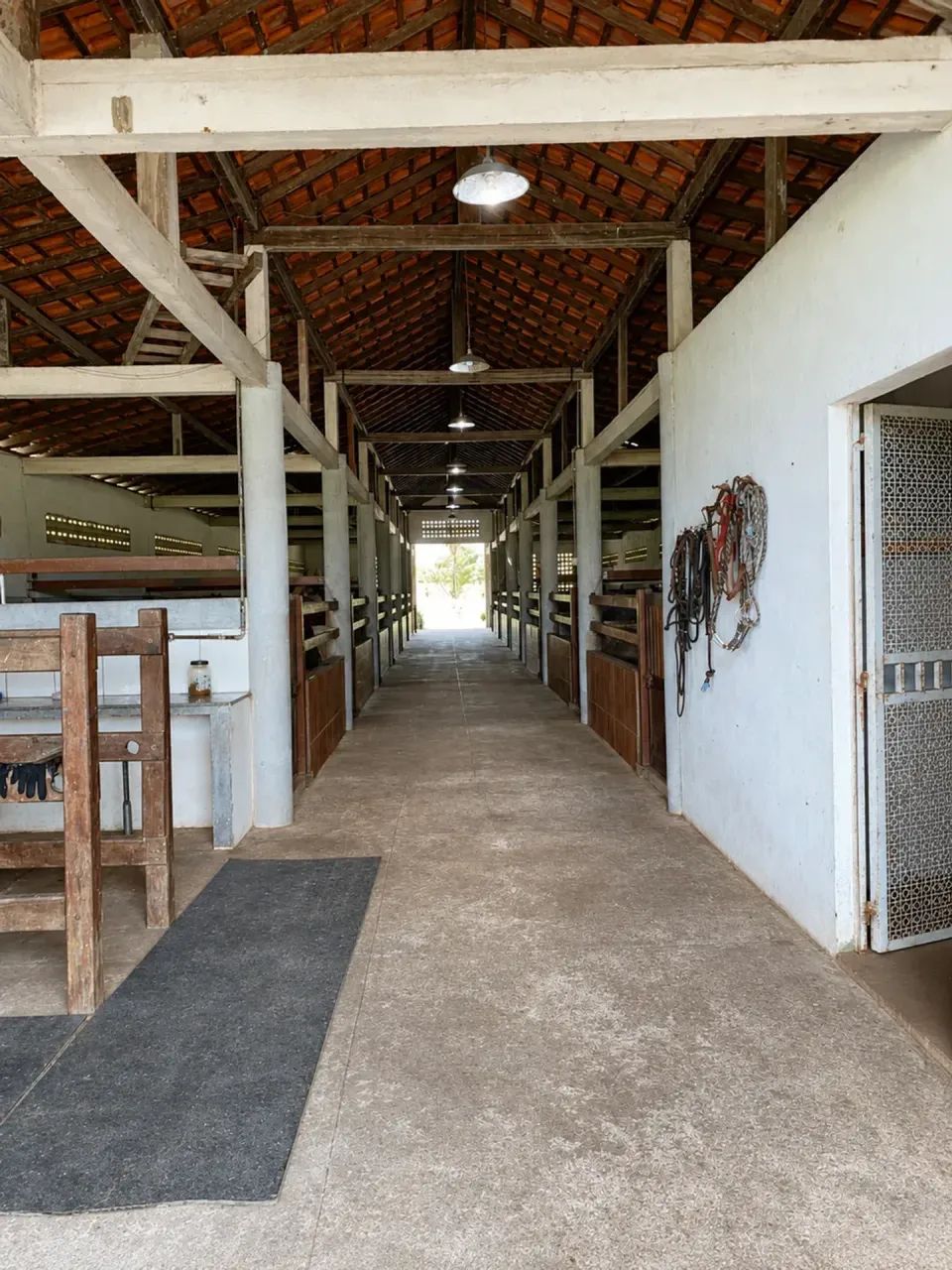 Imóvel para venda com 500000 metros quadrados com 4 quartos - Foto 3