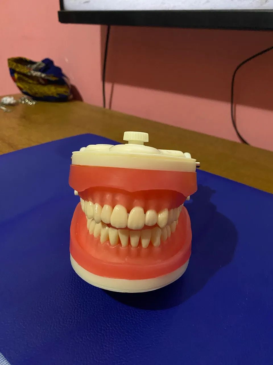 MANEQUIM ODONTOLÓGICO  - Foto 3