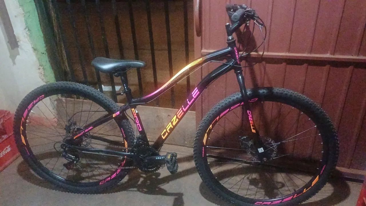 Bicicleta 