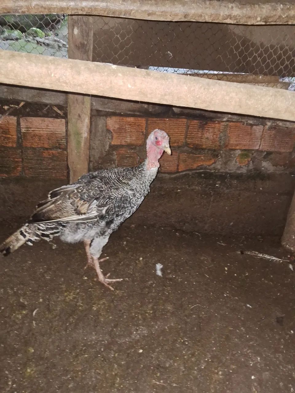 Vendo  - Foto 2