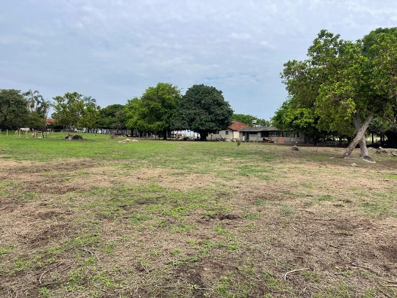 Fazenda em Itapirapuã- Goiás - Foto 5
