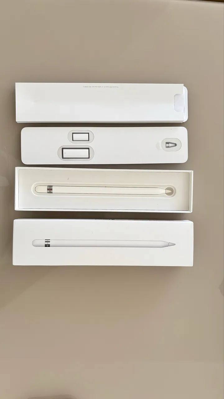 Apple Pencil 1ª Geração