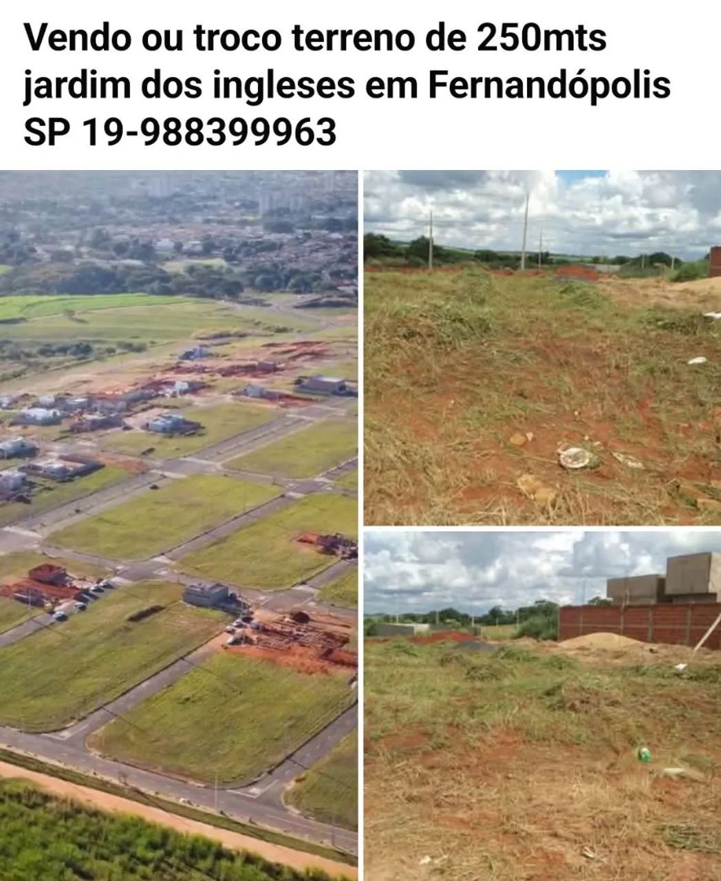Foto - Fernandópolis - 
