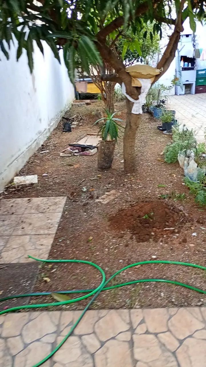 Ovo Galado  - Foto 5