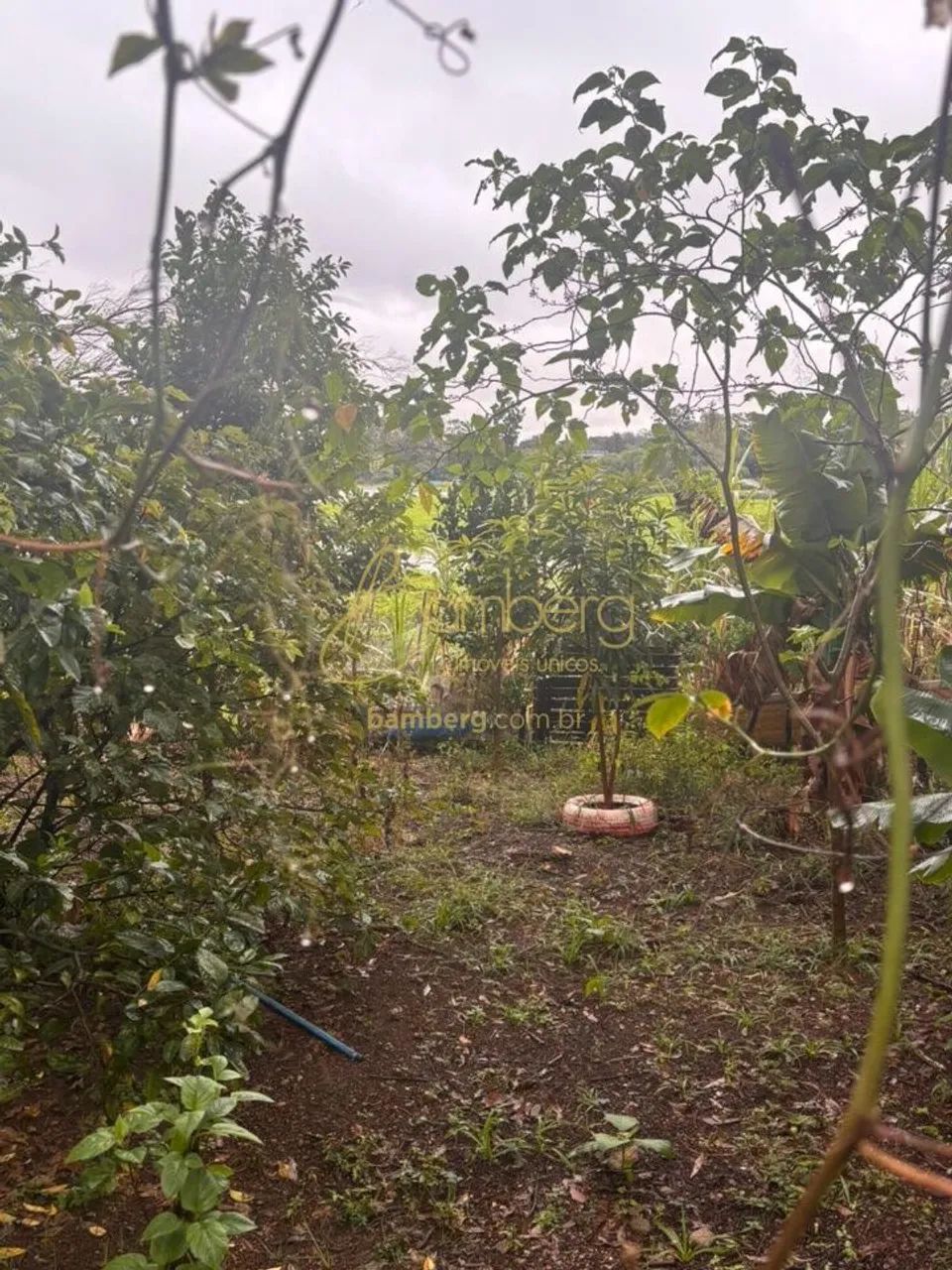 Terreno Em Condomínios Parque Castelo SP - Foto 3