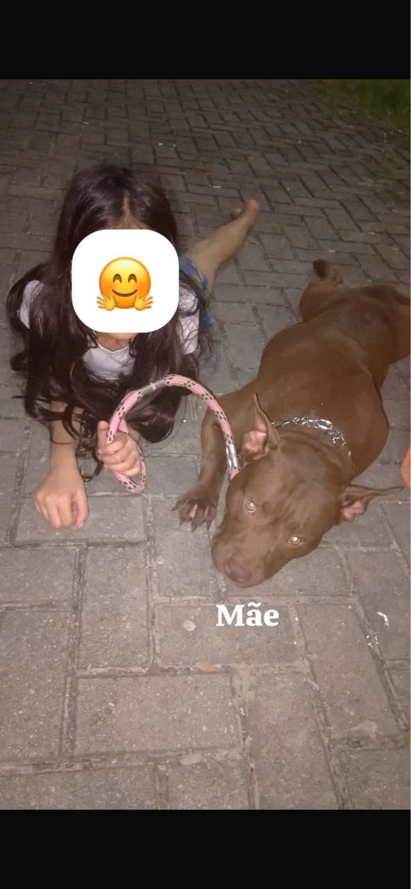 FILHOTE DE PITBULL PRA VENDER RÁPIDO/ macho  - Foto 4