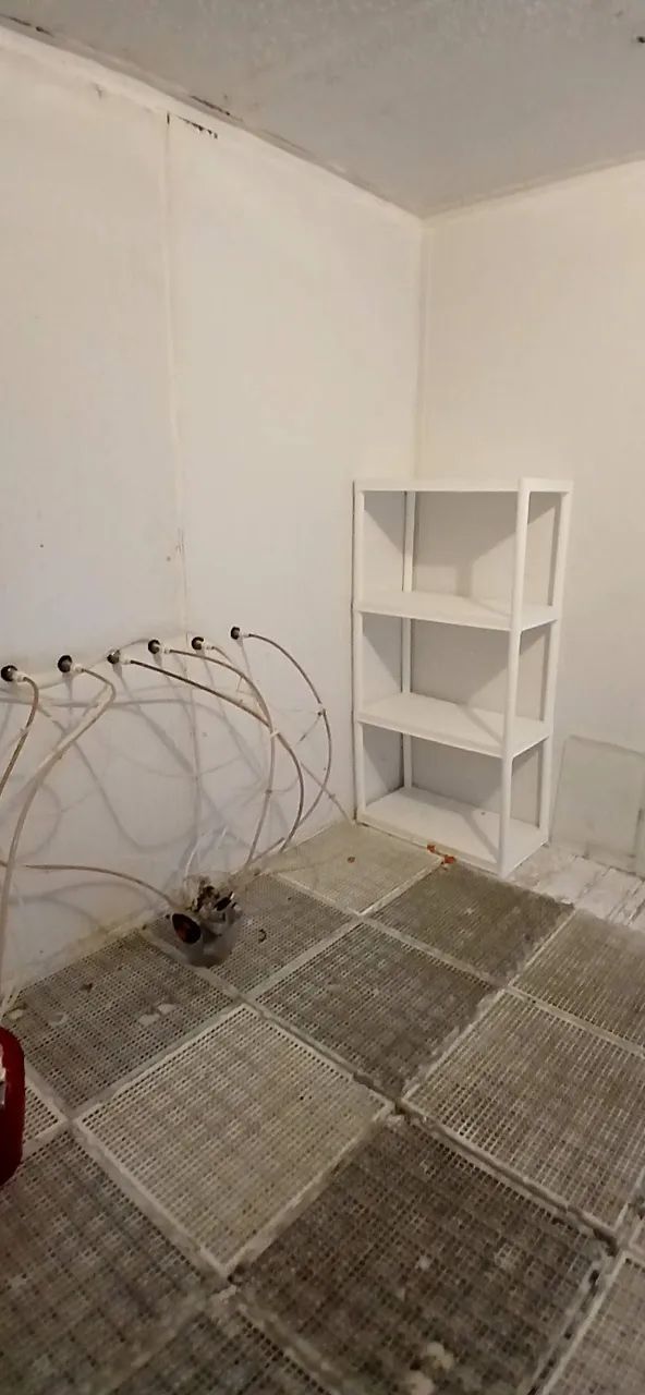Câmara Fria Resfriamento - Foto 2