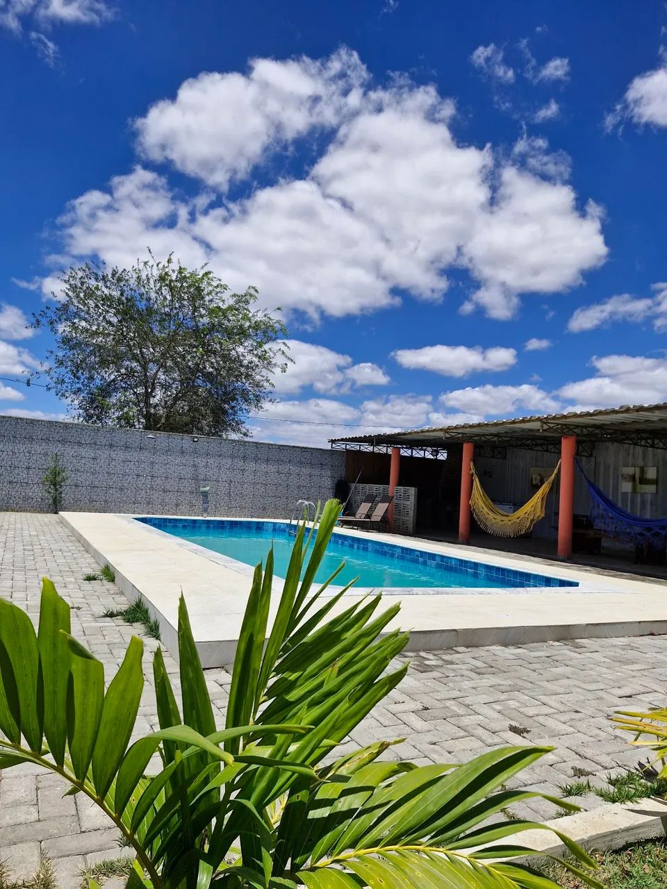 Espaço eventos - Foto 3