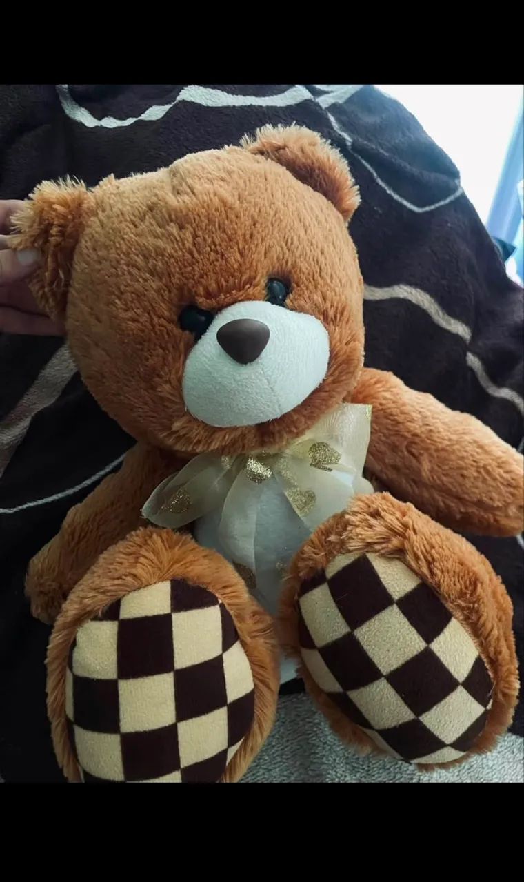 URSO NOVO