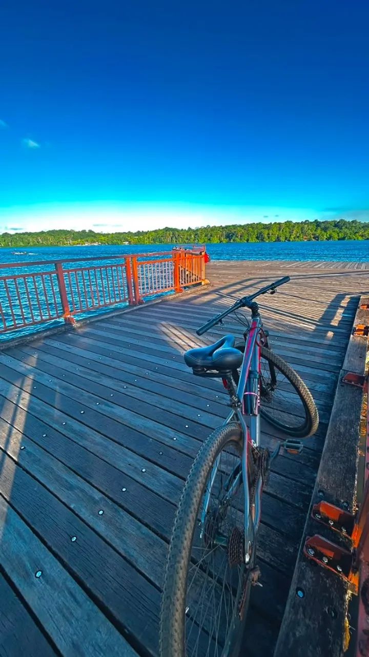 Bicicleta marca Lótus 29 cinza e vermelho - Foto 3