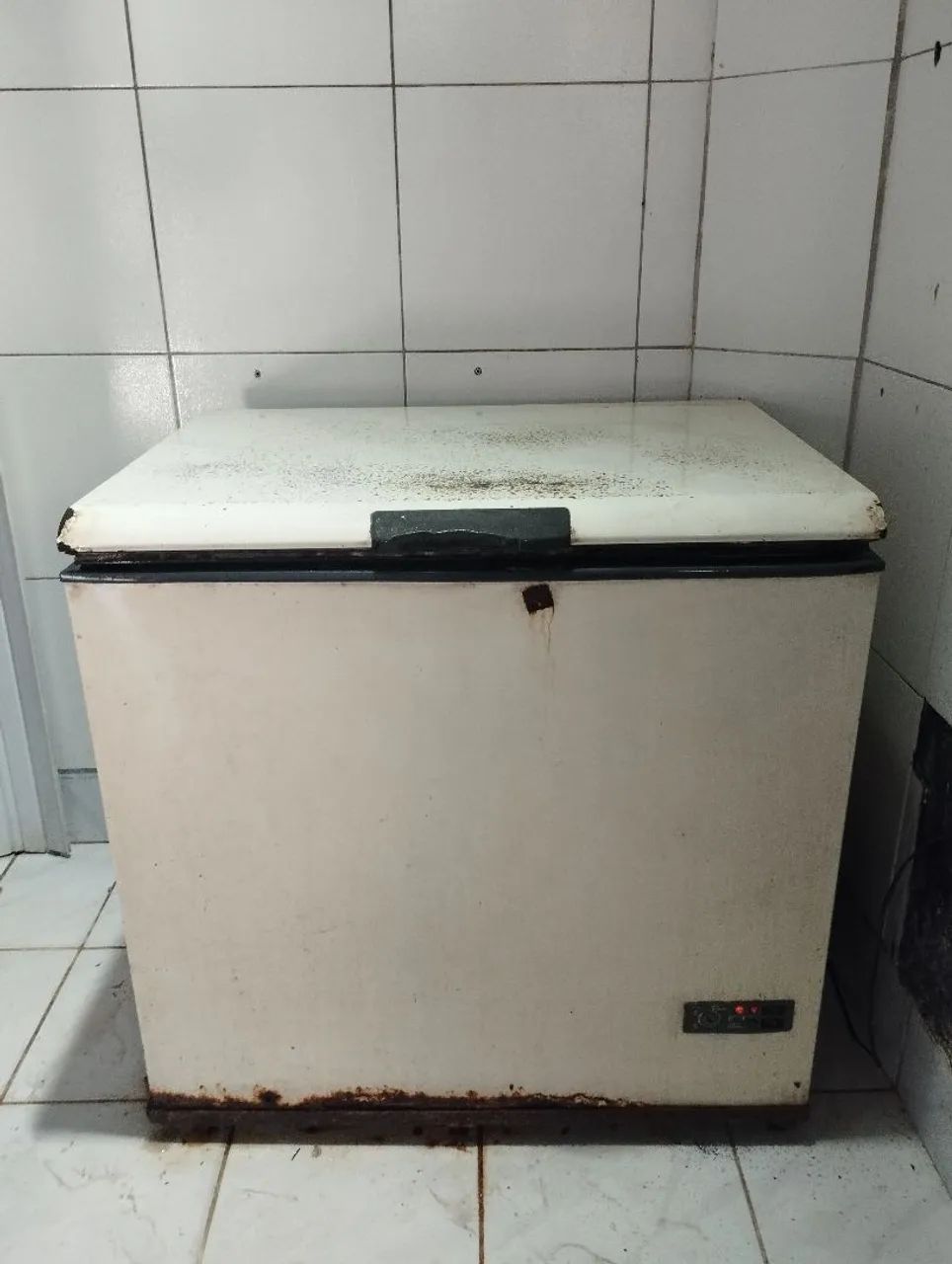 Freezer horizontal grande de 1 porta