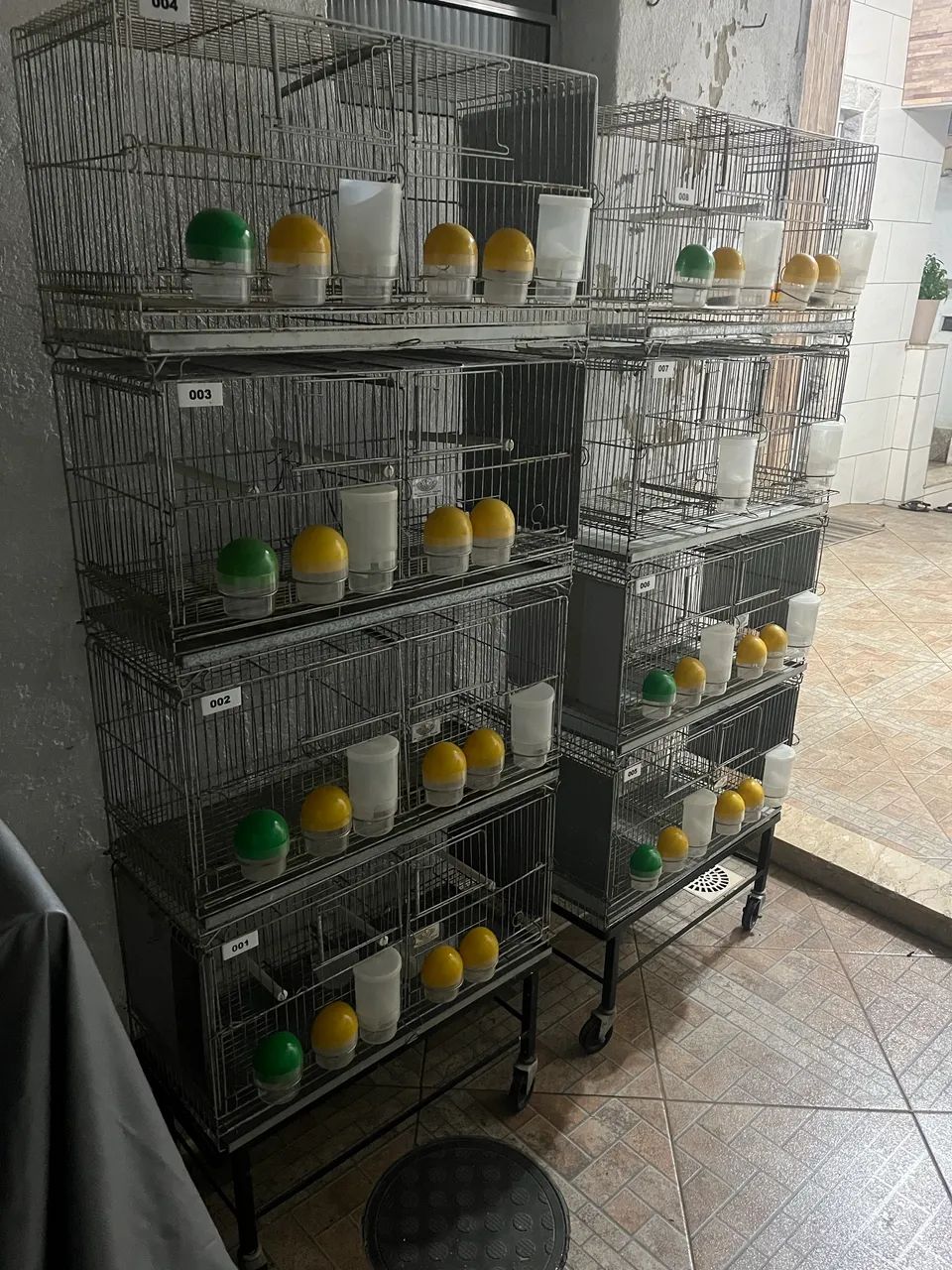 Vendo 2 conjuntos de gaiolas para canários entre outros pássaros