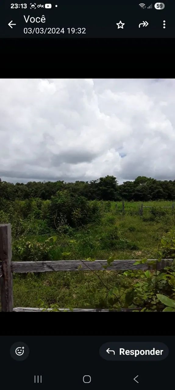 SÍTIO DE 50 HECTARES COM 2 IGARAPÉS.  - Foto 2