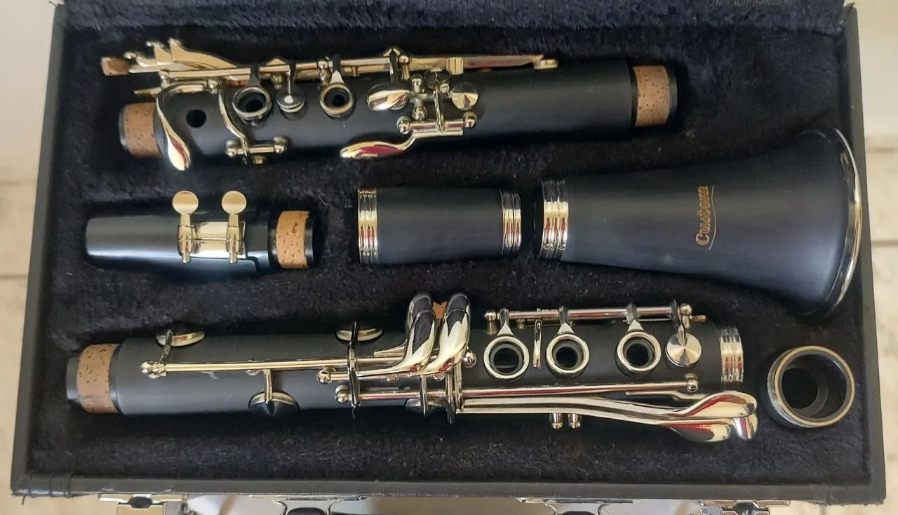 Clarinete Custom 