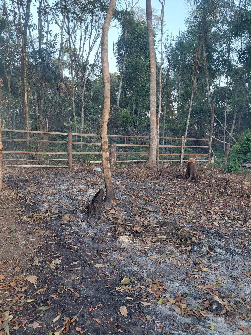 Terreno goiabal  - Foto 5