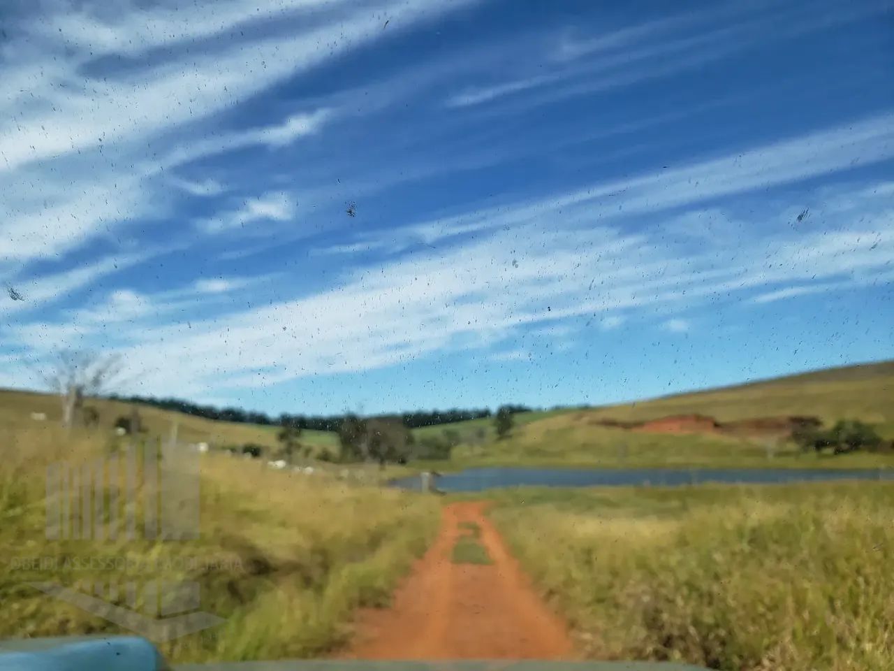 Fazenda à venda, Ipeúna, SP - Foto 5