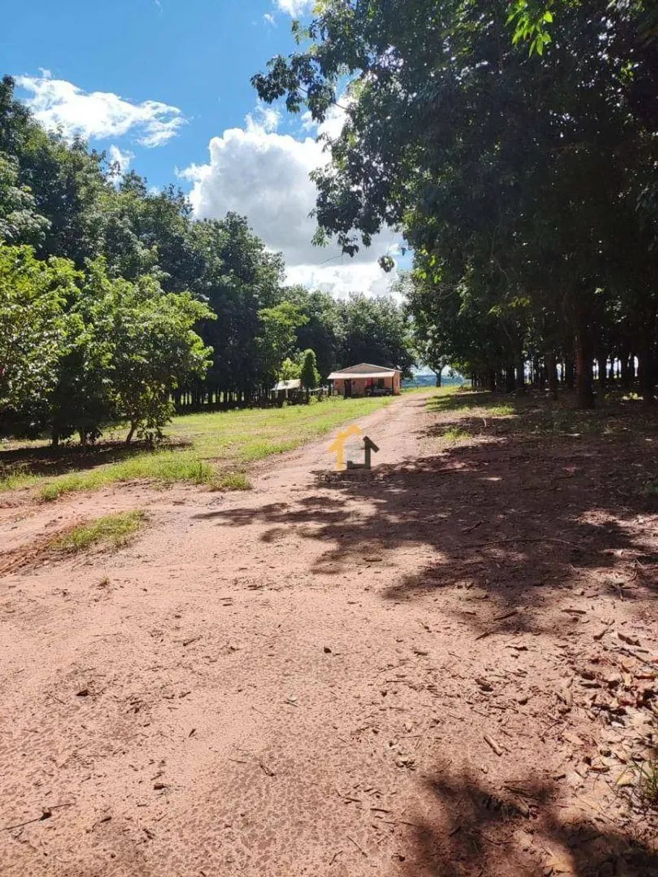 Sítio a venda com Seringueiras  Votuporanga/SP - Foto 2