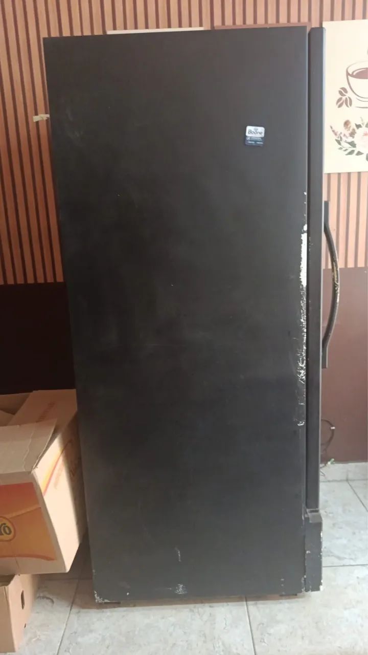 Freezer 490