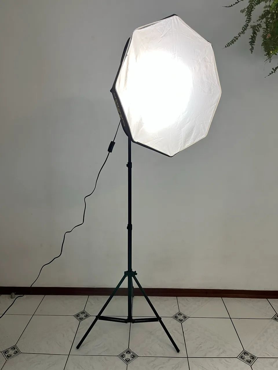 Softbox Octogonal 55cm com Grid, Lâmpada 550k e Bolsa | Greika - Foto 5