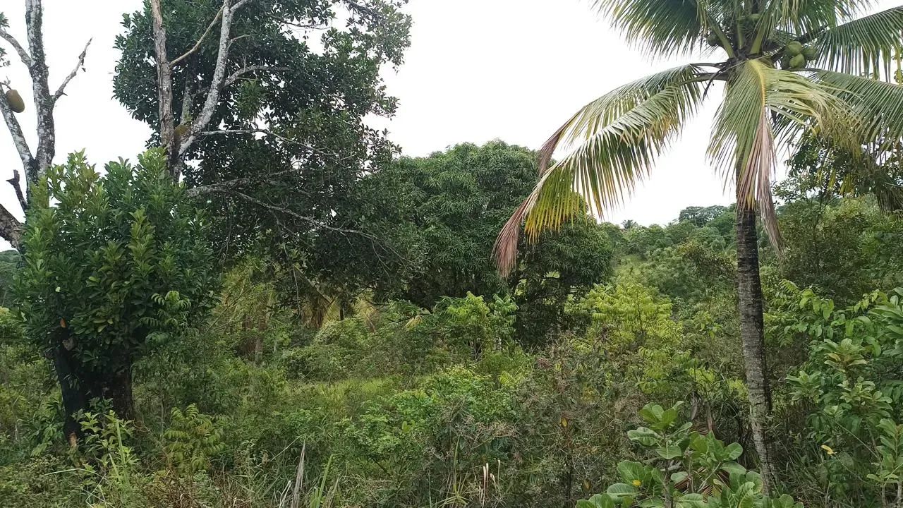 Área em   Conde - Jacuma  -  PB - Foto 5