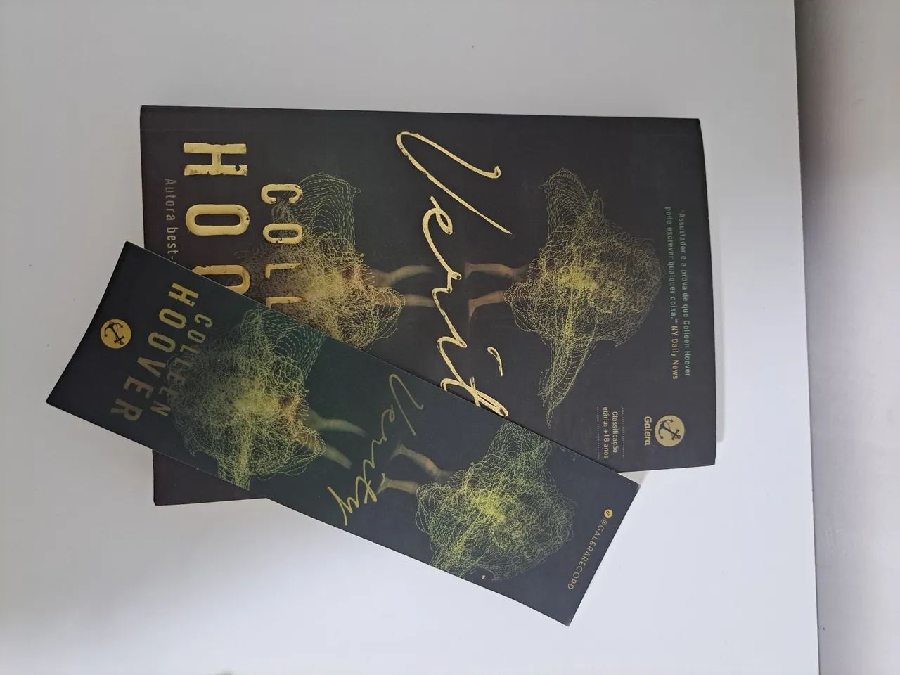 Livro - Verity  - Foto 2
