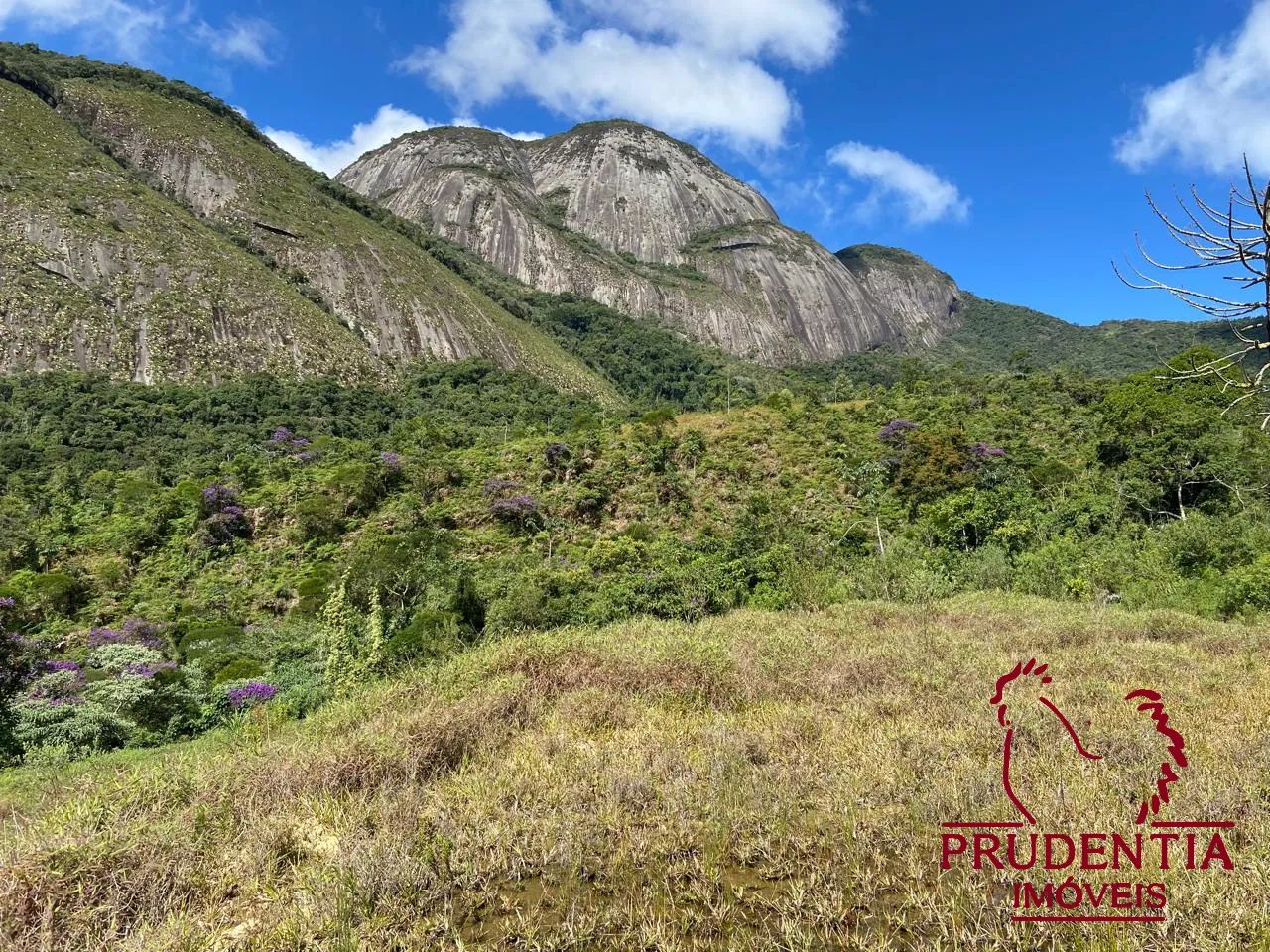 Terreno - Venda - Cardinot, Nova Friburgo - RJ - Foto 3