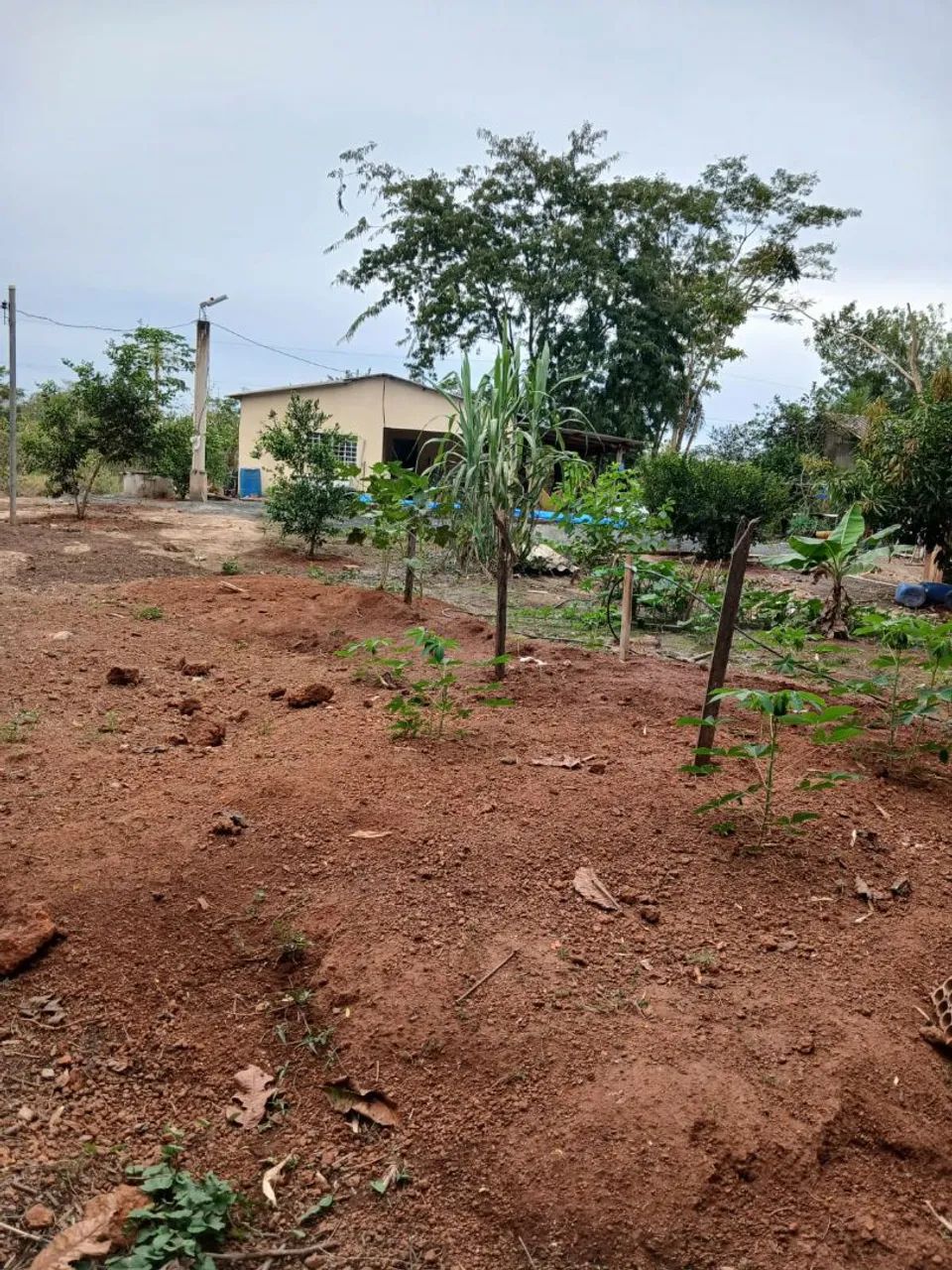 Chacara  - Foto 4