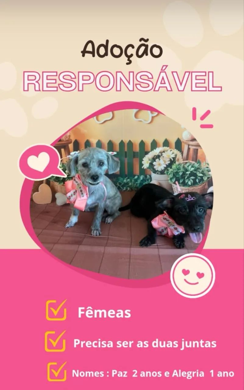 Doação responsável 