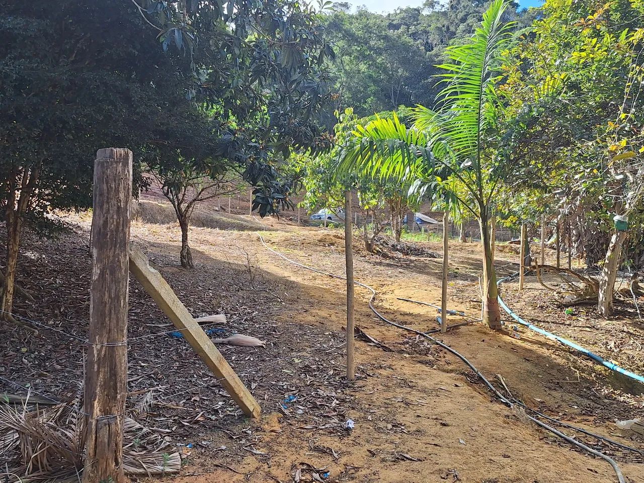 Chácara  - Foto 3