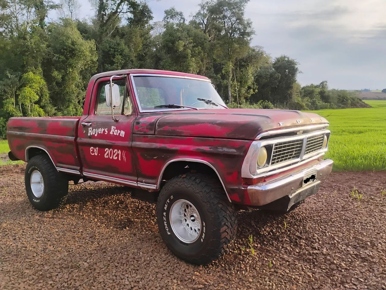 Ford F-1000 S. S. Diesel / S.s. Diesel Turbo 1983
