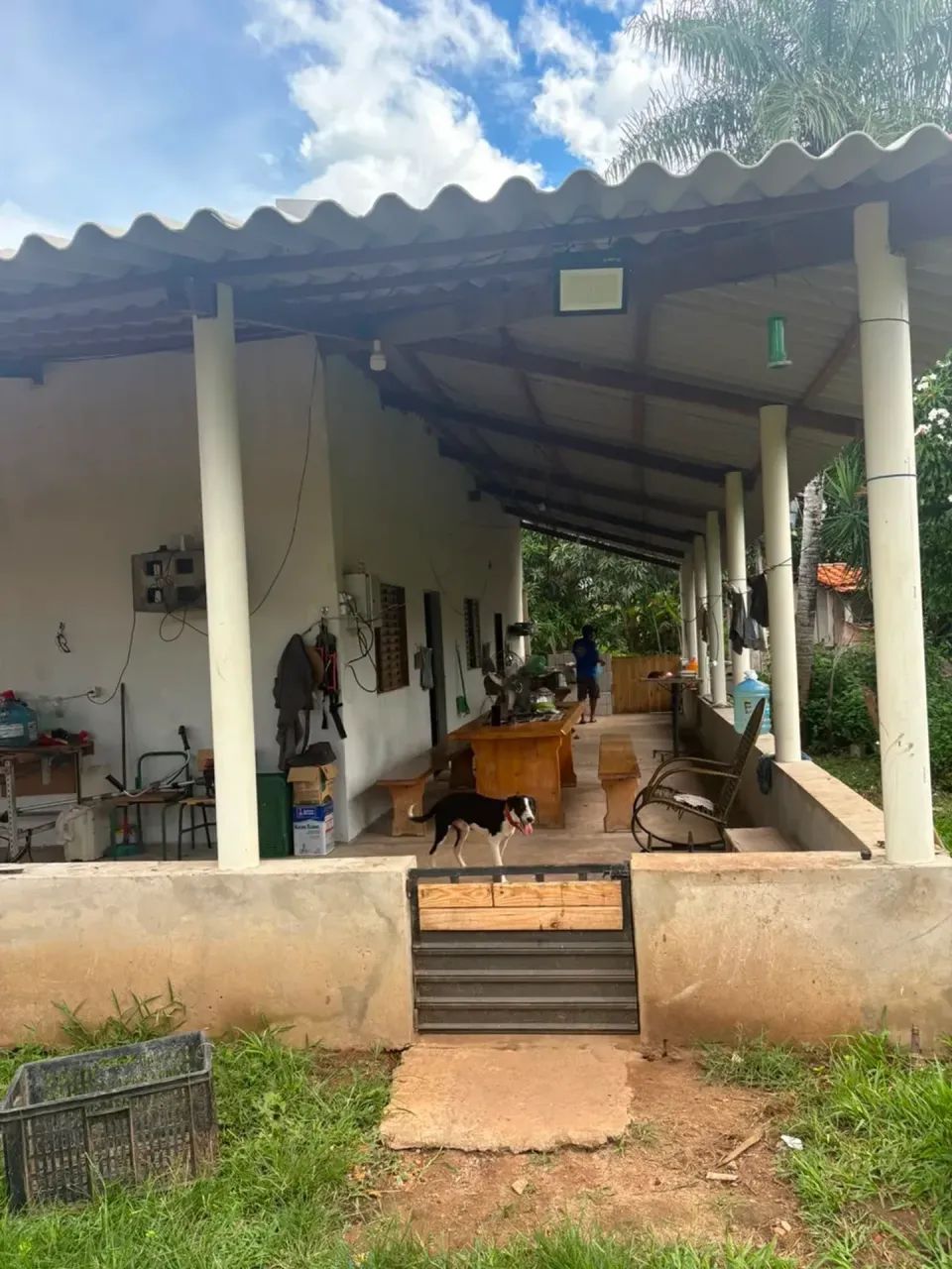 SITIO 5 HEC - FINANCIAVEL / CINQUENTINHA MT - Foto 3
