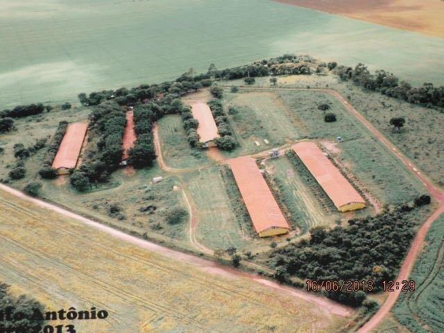 Aviário em Campo Verde/ 7 Hectares