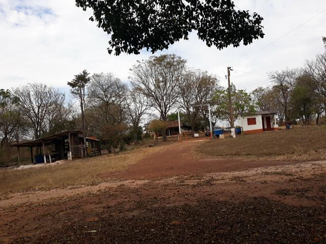 Aviário em Campo Verde/ 7 Hectares - Foto 13