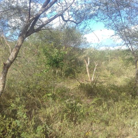 Fazenda em Itaberaba, 78 tarefas, 344 mil metros2 - Foto 7