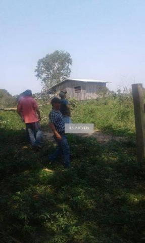 Fazenda - Foto 11